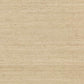 Arrowroot Cream Wallpaper