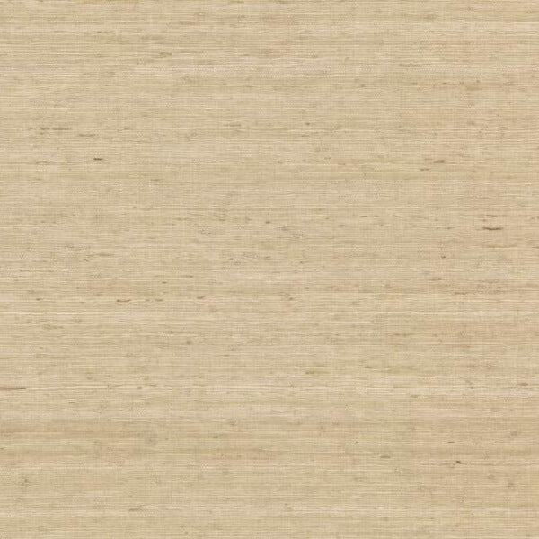 Arrowroot Cream Wallpaper