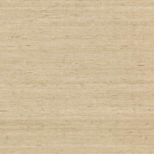Arrowroot Cream Wallpaper