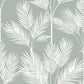 King Palm Silhouette Grey Wallpaper