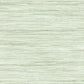 Bahiagrass Green Wallpaper