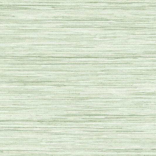 Bahiagrass Green Wallpaper