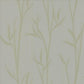 Matcha Tan Wallpaper