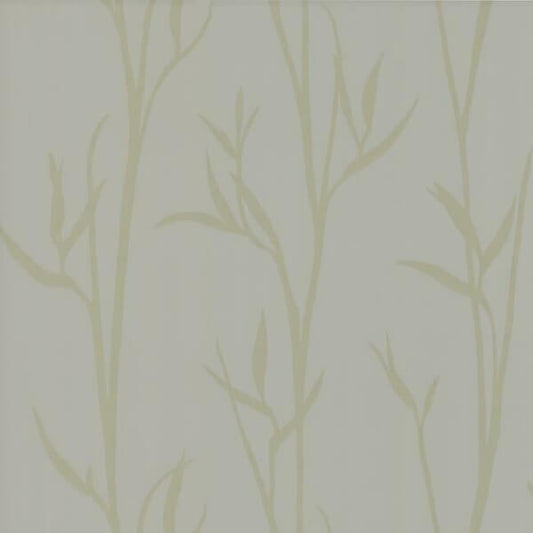 Matcha Tan Wallpaper