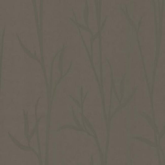 Matcha Brown Wallpaper