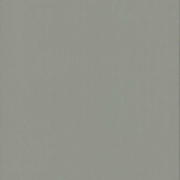 Radiant Juniper Dark Grey Wallpaper