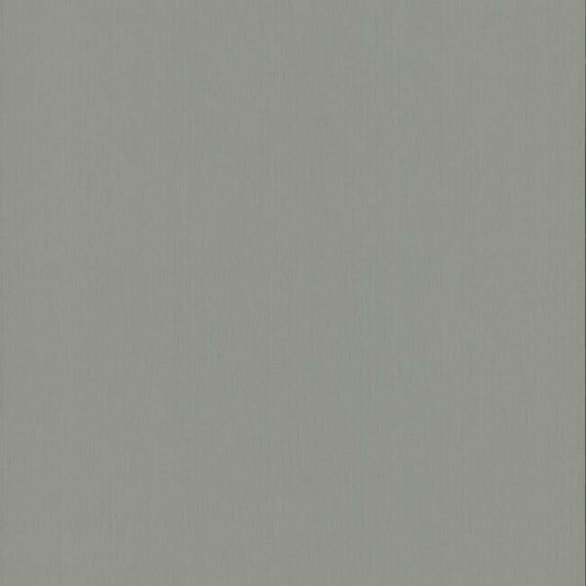 Radiant Juniper Dark Grey Wallpaper