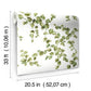 Creeping Fig Vine Green Wallpaper