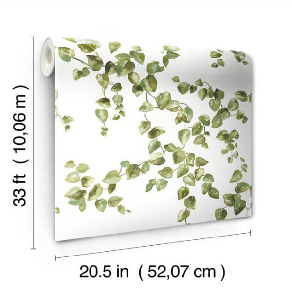 Creeping Fig Vine Green Wallpaper