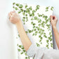 Creeping Fig Vine Green Wallpaper
