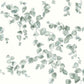 Creeping Fig Vine Sage Wallpaper