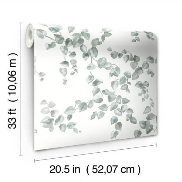 Creeping Fig Vine Sage Wallpaper