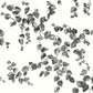 Creeping Fig Vine Black & White Wallpaper