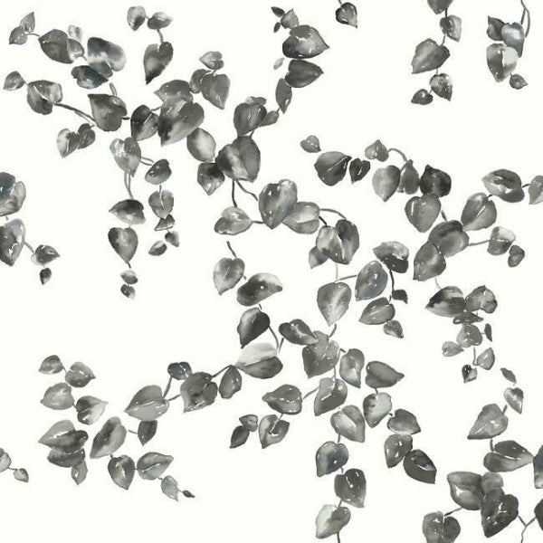 Creeping Fig Vine Black & White Wallpaper