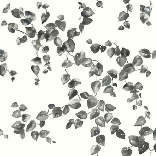 Creeping Fig Vine Black & White Wallpaper