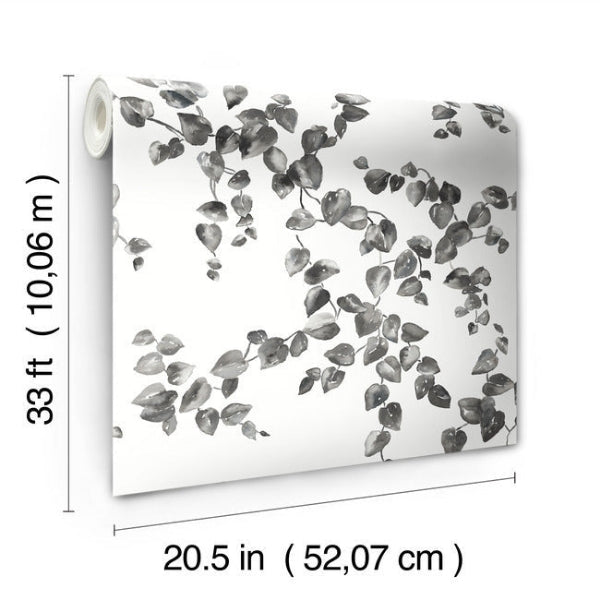 Creeping Fig Vine Black & White Wallpaper