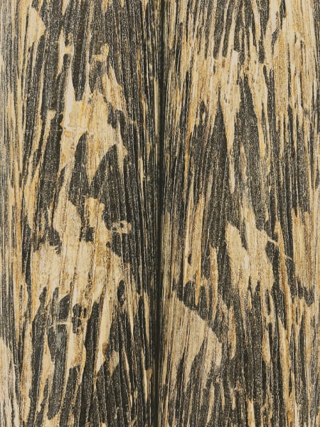 Gilded Plume Black Wallpaper