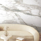 Imperial Marble Neutral Wall Mural
