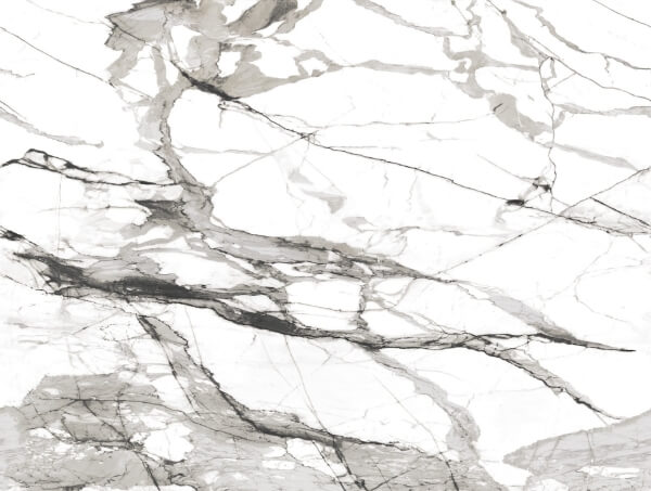 Imperial Marble Black & White Wall Mural