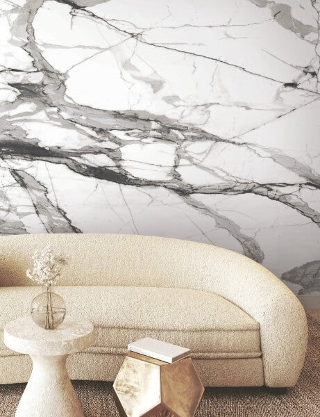 Imperial Marble Black & White Wall Mural