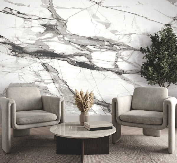 Imperial Marble Black & White Wall Mural