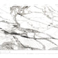 Imperial Marble Black & White Wall Mural