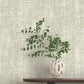 Monteverde Grey Wallpaper