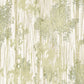 Aspen Grove Green Wallpaper