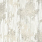 Aspen Grove Grey Wallpaper