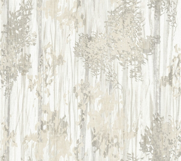 Aspen Grove Grey Wallpaper
