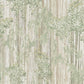 Aspen Grove Forest Mural