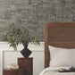 Pop The Cork Charcoal Wallpaper