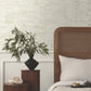 Pop The Cork White Wallpaper