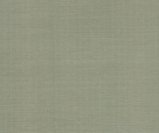 Maguey Sisal Desert Sage Wallpaper