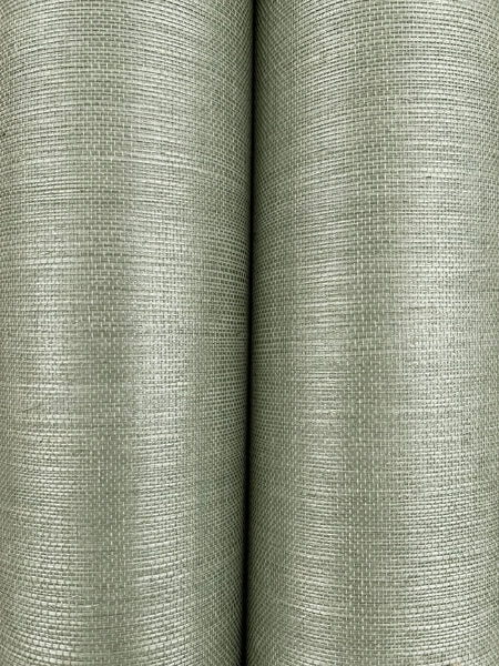 Maguey Sisal Desert Sage Wallpaper