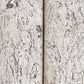 Caldera Cork Silver Birch Wallpaper