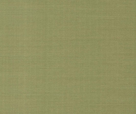 Maguey Sisal Sage Wallpaper