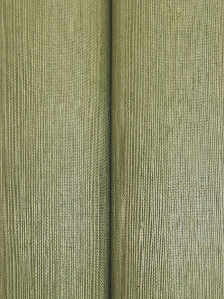 Maguey Sisal Sage Wallpaper