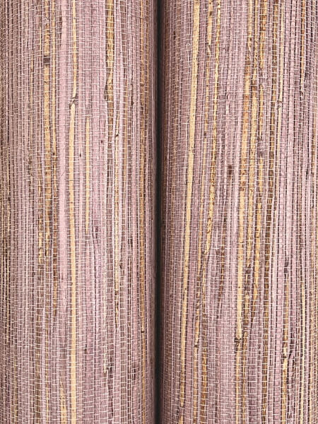 Multicolored Hemp Rose Bisque Wallpaper