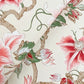 Marguerite Vine Cream Wallpaper