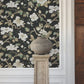 Marguerite Vine Black Wallpaper