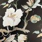 Marguerite Vine Black Wallpaper