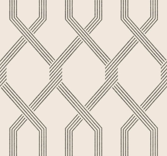 Palisade Black Wallpaper