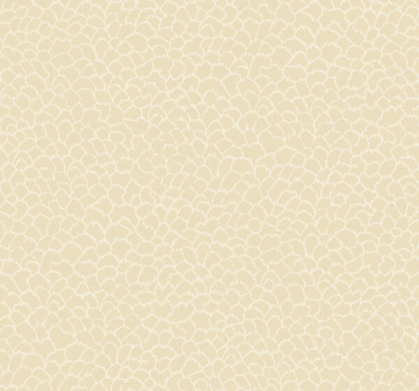 Nadie Camel Wallpaper