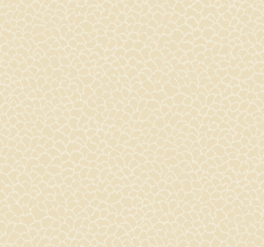 Nadie Camel Wallpaper