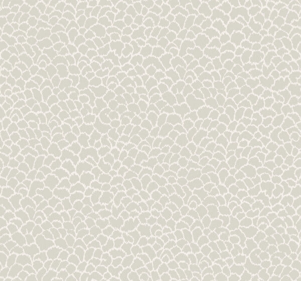 Nadie Grey Wallpaper