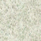 Aslan Green Wallpaper