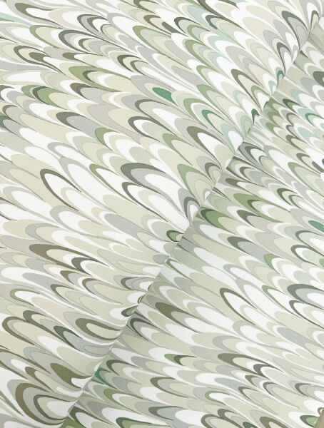 Aslan Green Wallpaper