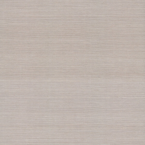 Delicate Abaca Slate Wallpaper