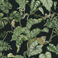 Jungle Cat Black Wallpaper